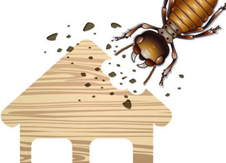 timber-pest-inspection-home-img